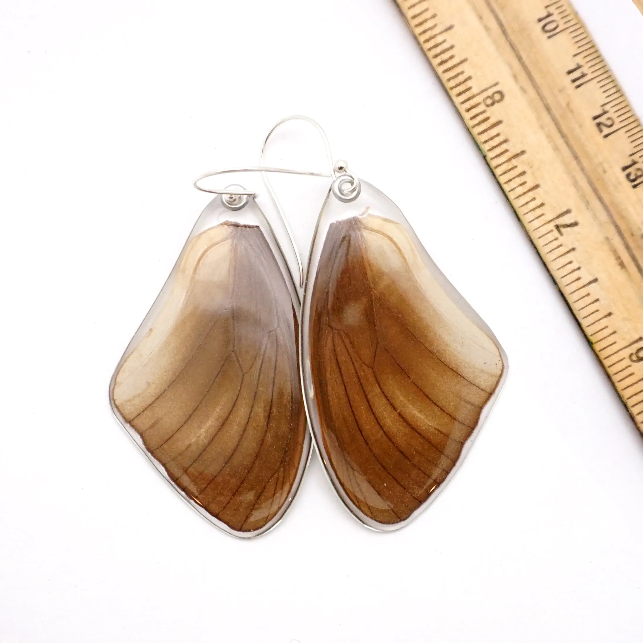 0617 Butterfly Wing Earrings, Taenaris Urania, top wings