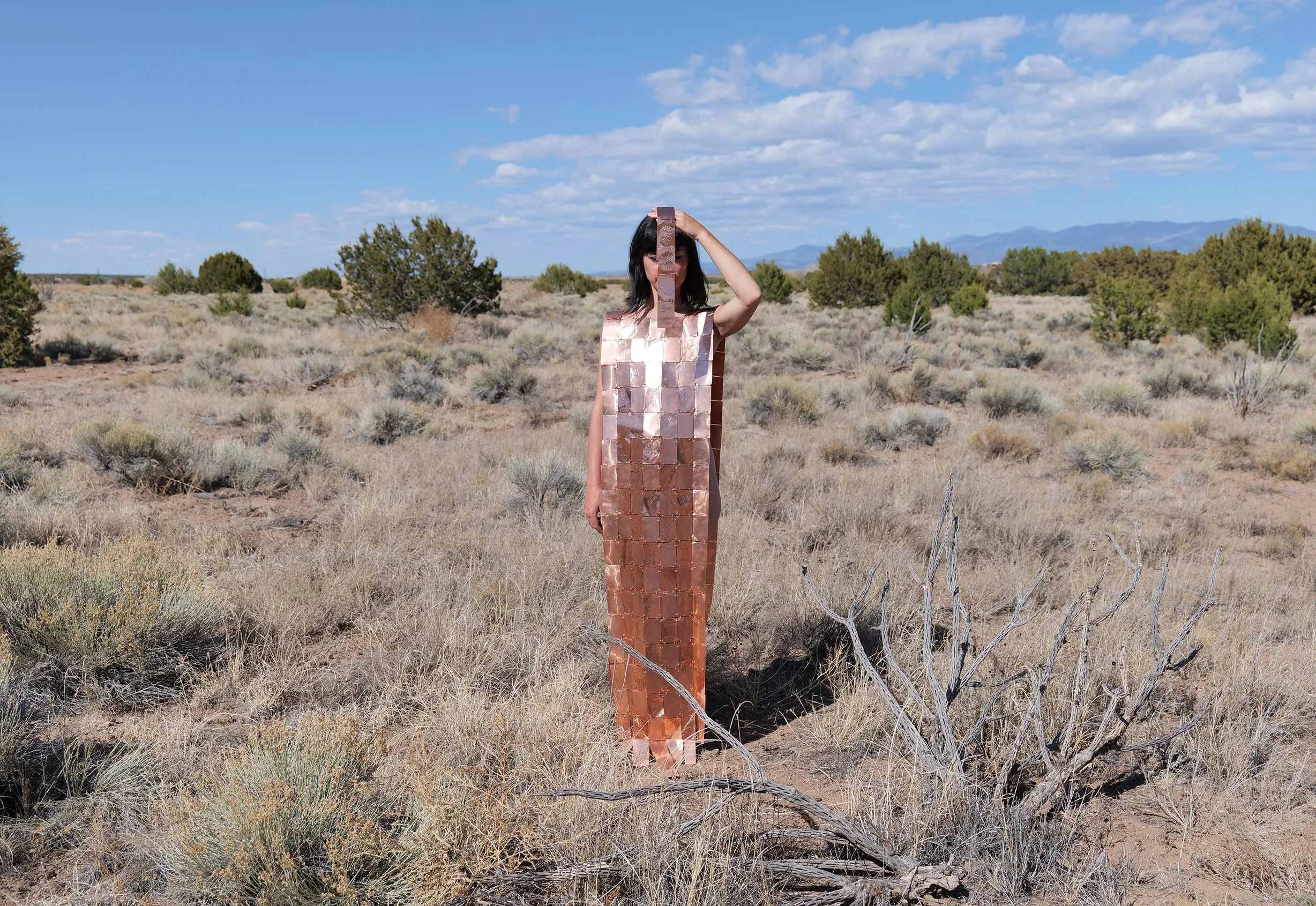 Alexandra Zsigmond, "Armor for Embodied Cognition"