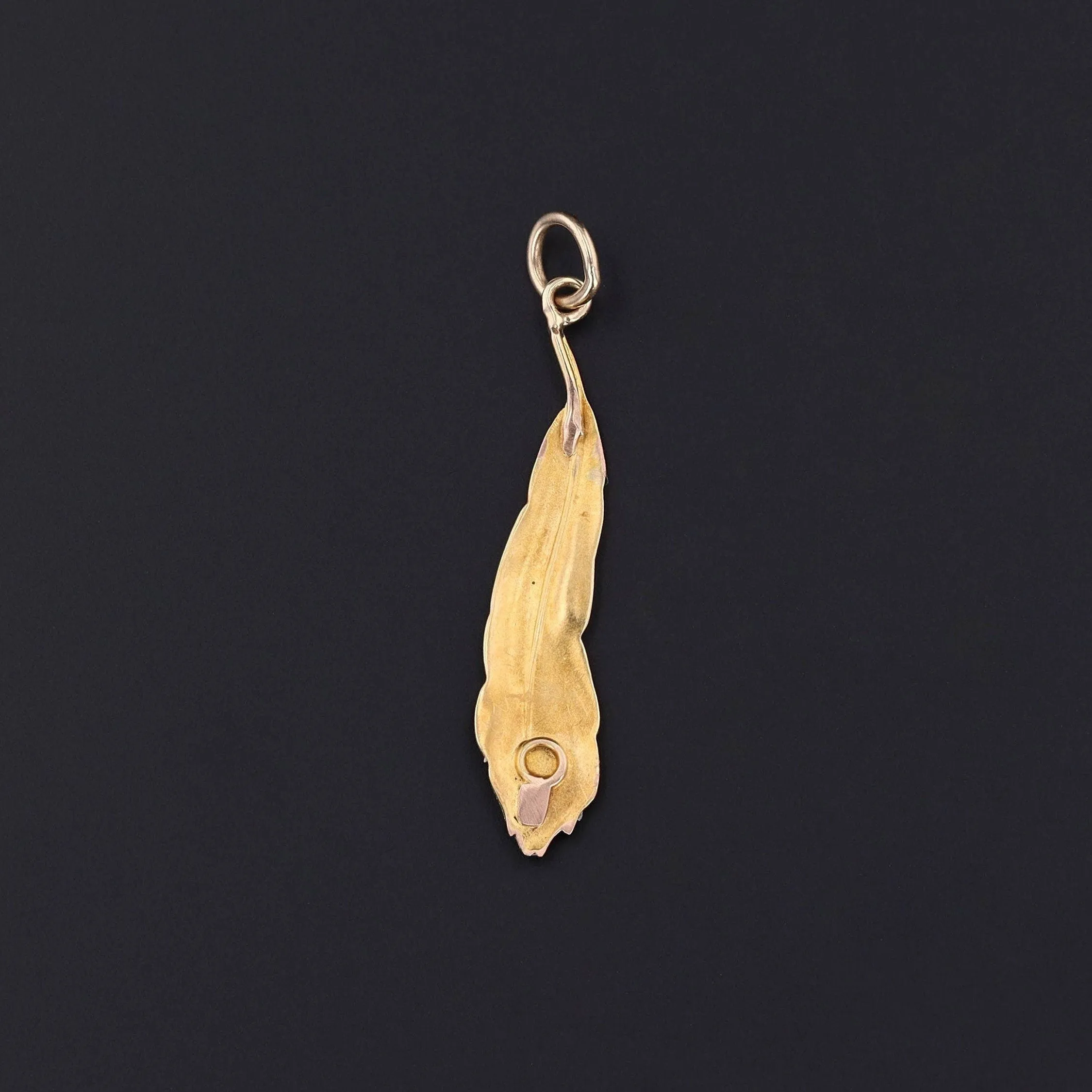Antique Enamel Peacock Feather Conversion Pendant