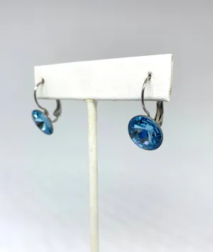 Birthstone Swarovski Large Leverback Earrings