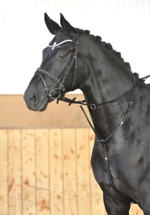 Busse Martingale Crystal