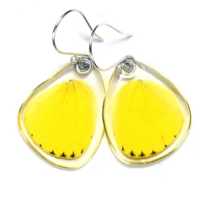 Butterfly earrings, Grass Yellow Butterfly, bottom wings