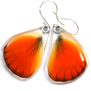 Butterfly earrings, Orange Albatross, bottom wings