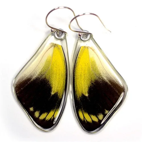 Butterfly earrings, Red Delias Butterfly. top wings