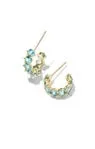 CAILIN CRYSTAL HUGGIE EARRINGS Kendra Scott