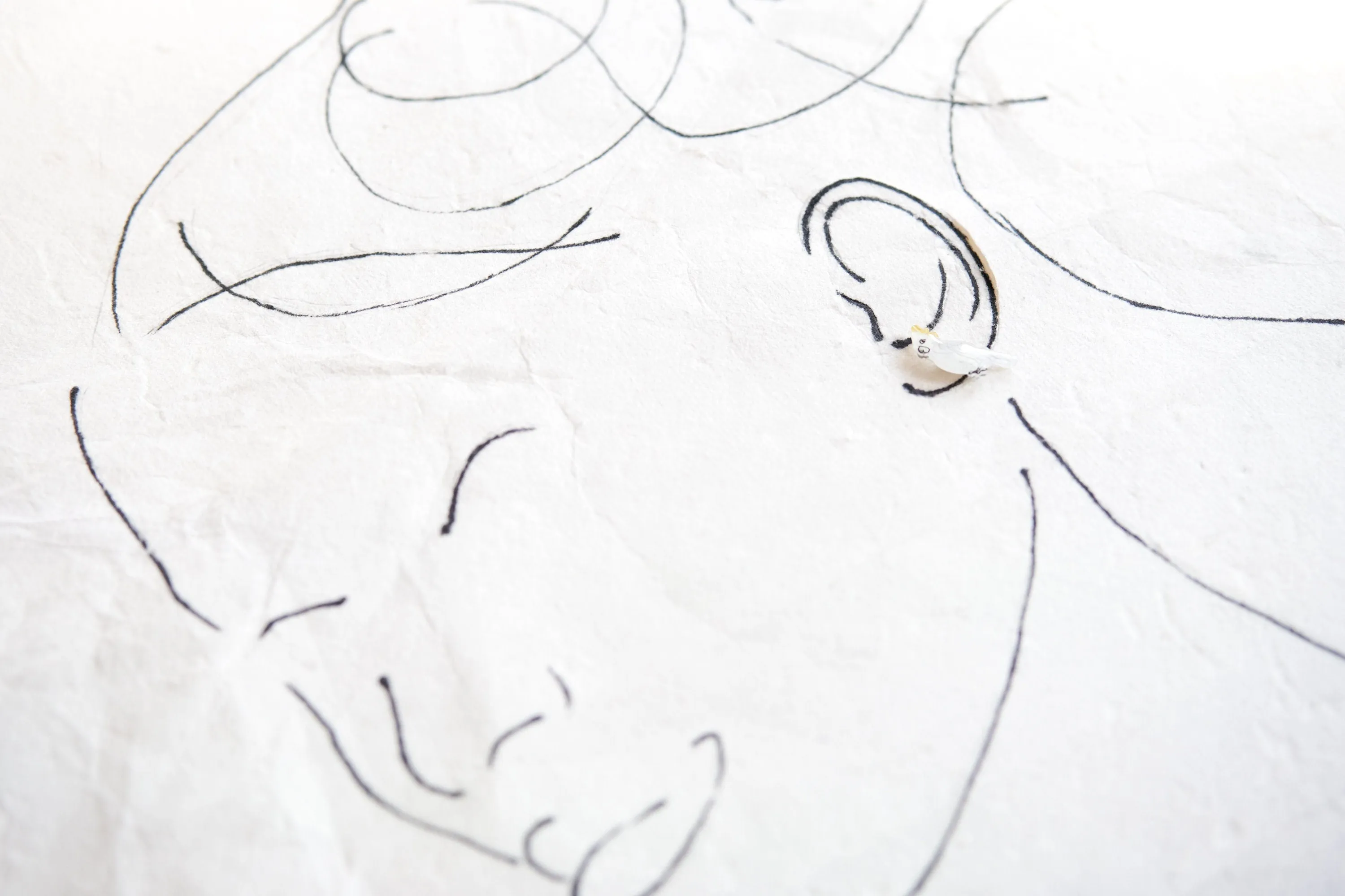 Cockatoo White & Yellow Bird Stud Earrings