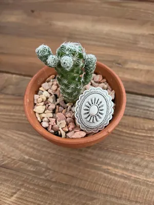 Concho Statement Ring