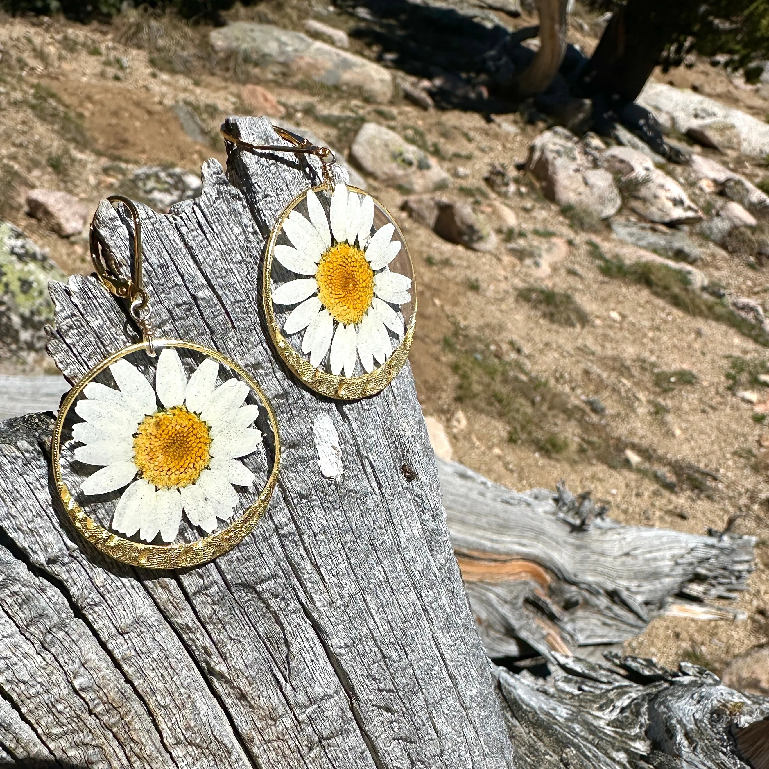 Daisy Flower Earrings - BG 166