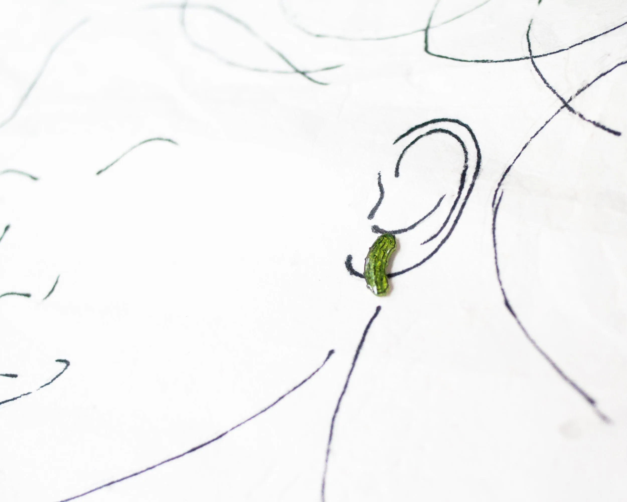 Dill Pickle Vegetable Stud Earrings