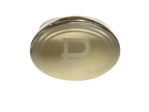 Gold Toned Etched Oval Russian Ruble Currency Sign Pendant Adjustable Size Fashion Ring