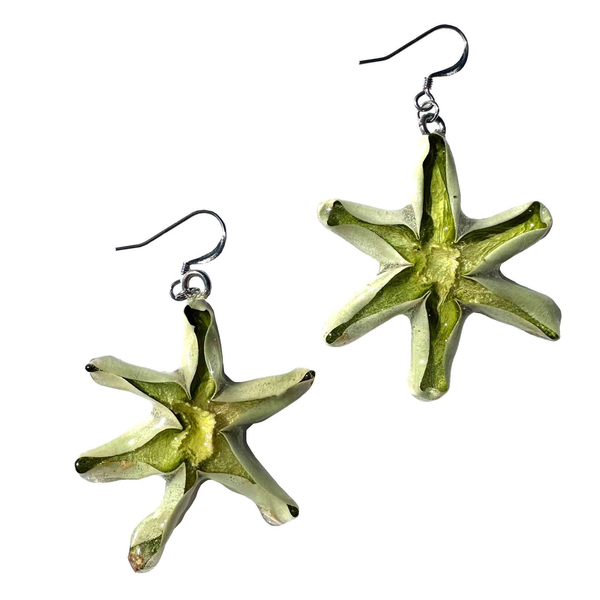 Limited Edition Cactus Earrings