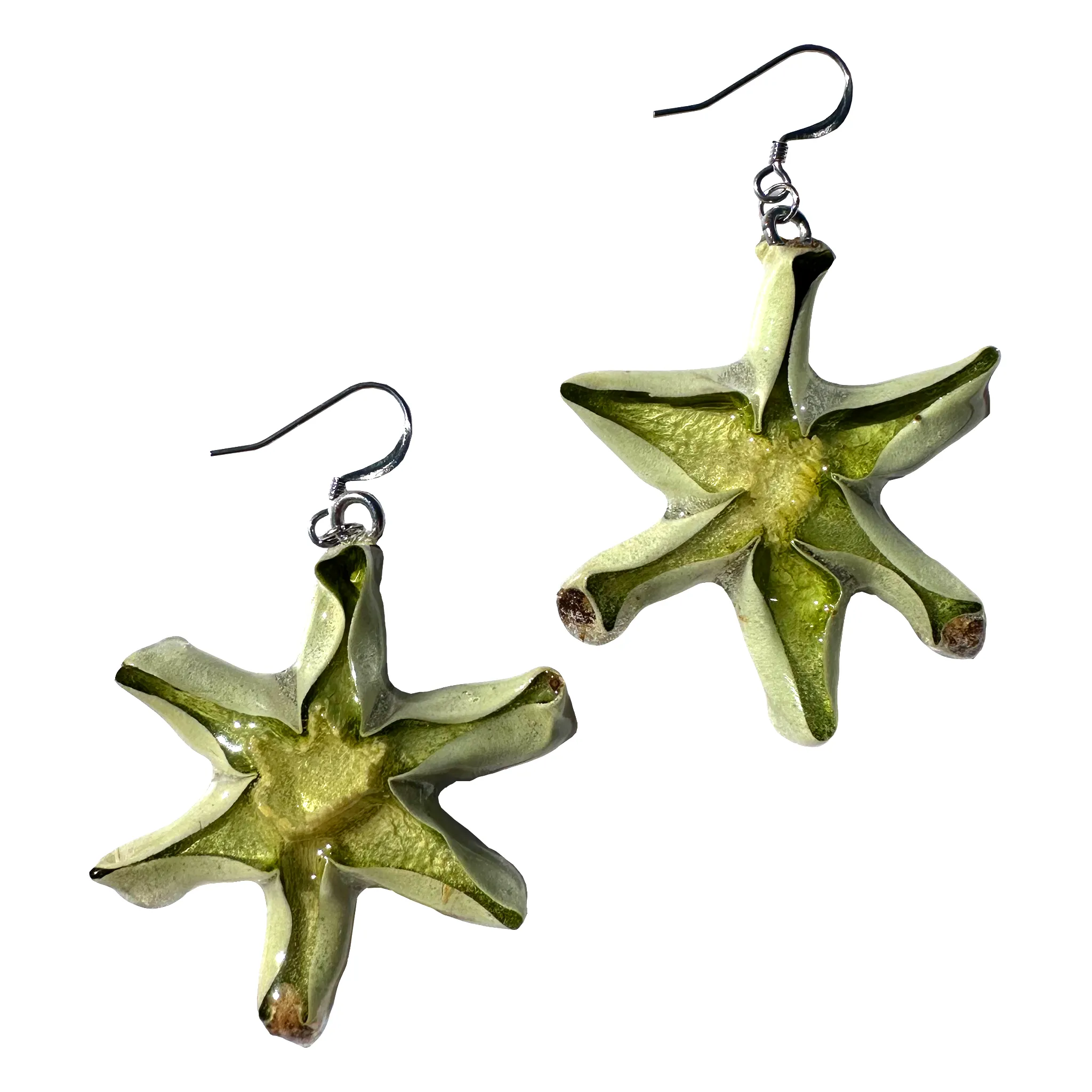 Limited Edition Cactus Earrings