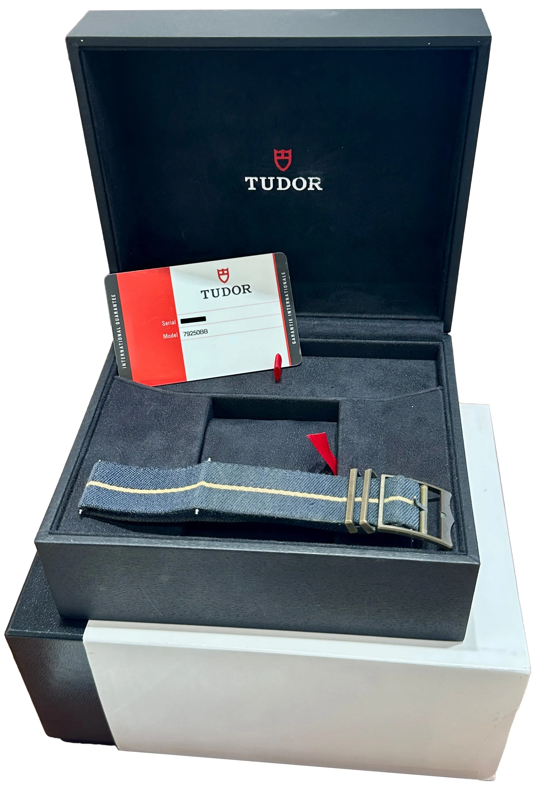 PAPERS Tudor Black Bay Heritage Bronze Bucherer Blue Dive 43mm Watch 79250BB BOX