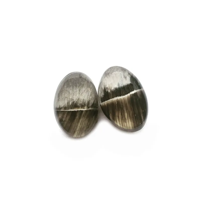 Resin Oval Earrings