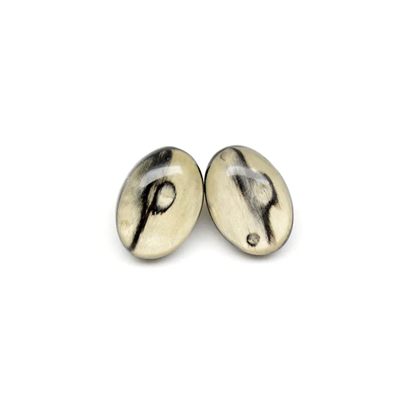 Resin Oval Earrings