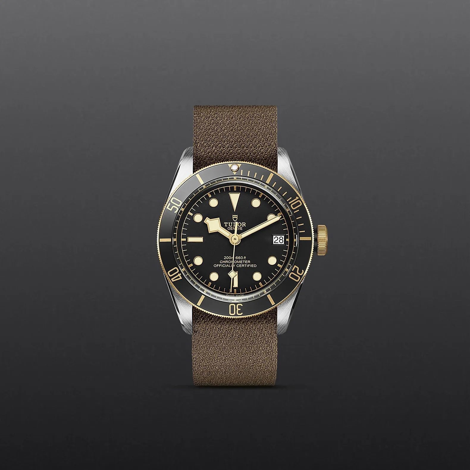 Tudor Black Bay S&G