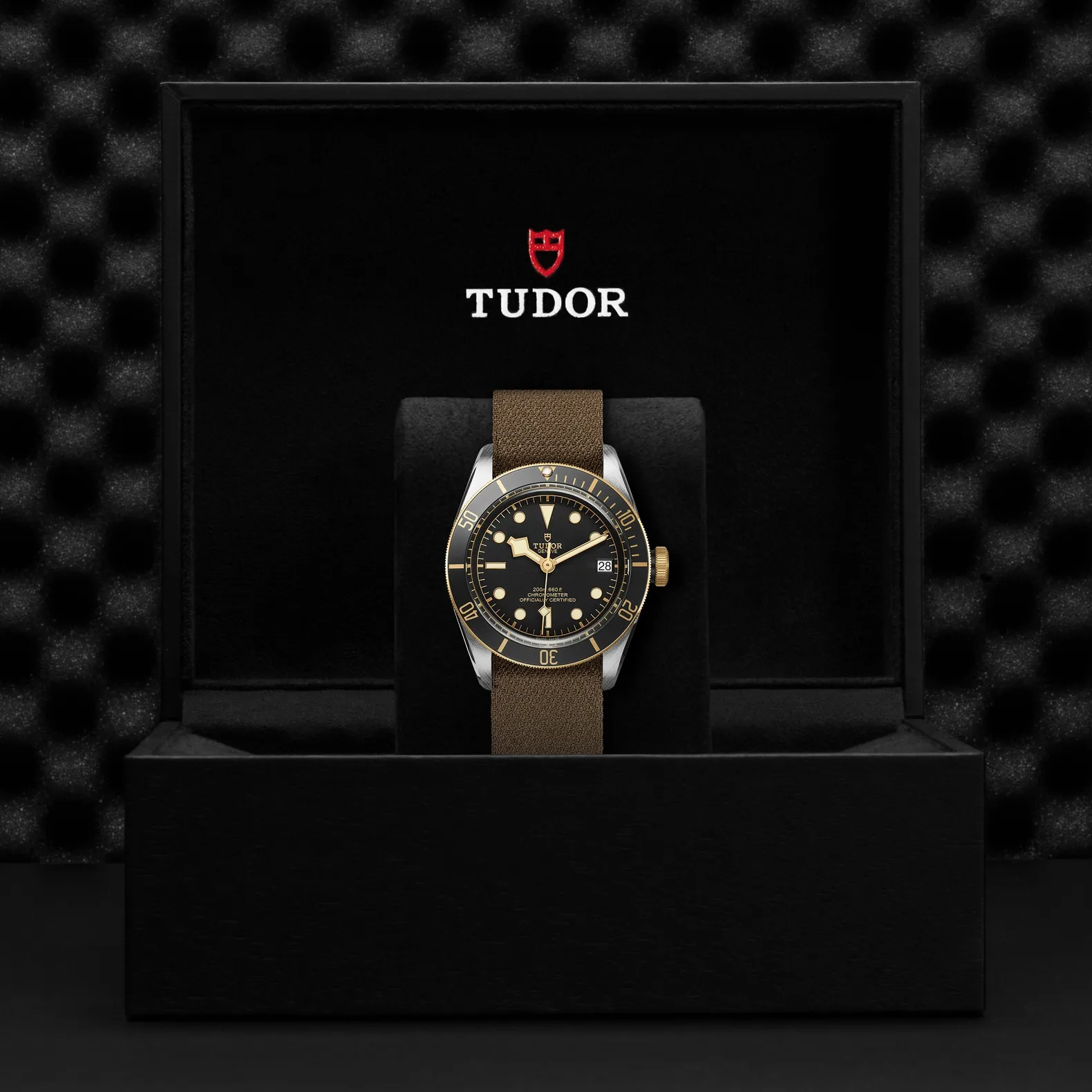 Tudor Black Bay S&G