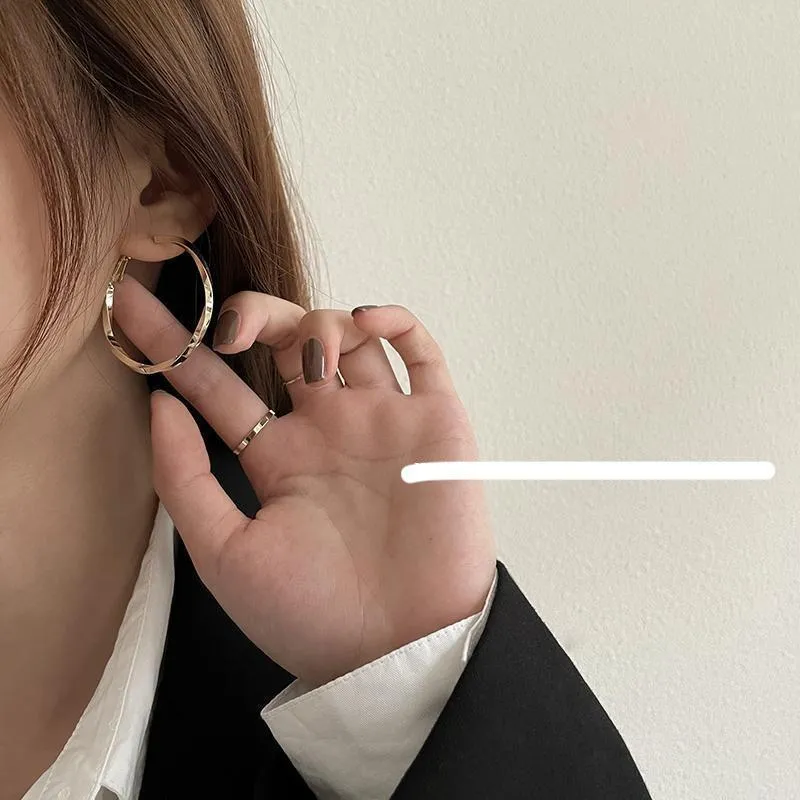 Twisted Circle Earrings