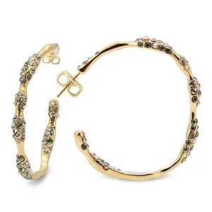 Women's Earrings - LO1855 - Gold Brass Earrings with Top